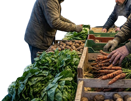 Markt Manifest