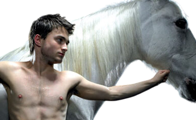 Harry PotterE-Photoroom Horse Potter ungewöhnliche Fragen