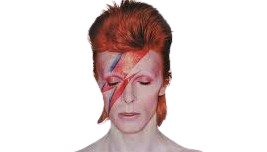 Bowie Fehler machen