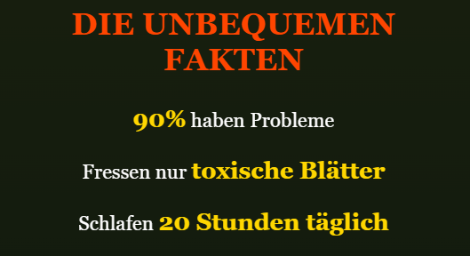 Fakten Poetry Slam authentisch schreiben
