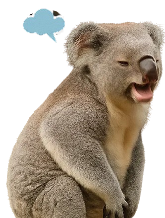 Koala Poetry Slam authentisch schreiben
