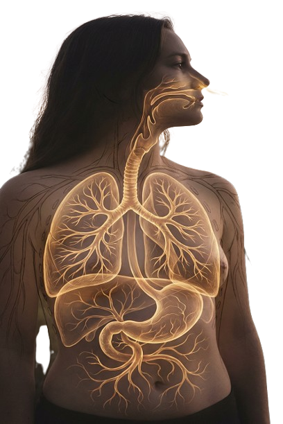 Riechen Stimmtraining