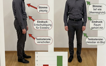 aufrechte Haltung Souverän sprechen
