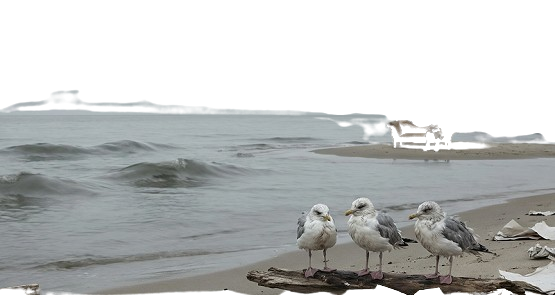 Das Meer ist erschöpft. Wellen schlaff. Themen finden