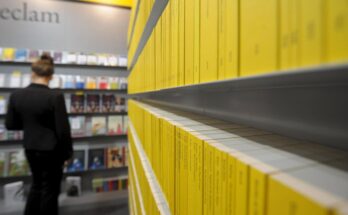 Kreativität fördern Buch