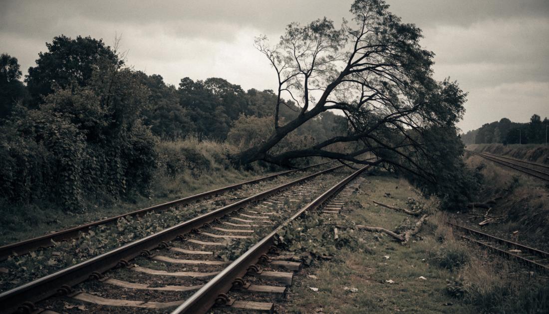 Ein gro&szlig;er umgest&uuml;rzter Baum liegt quer &uuml;ber einer Bahnstrecke
