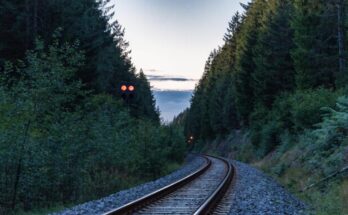 Ein leeres Gleis schlängelt sich in der Dämmerung durch einen ruhigen Wald, Warnlichter leuchten in der Ferne