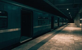 Ein stehender Zug am Bahnsteig mit geöffneten Türen