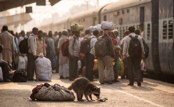 Waschbär steht auf einem sehr belebten Bahnsteig mit vielen wartenden Menschen