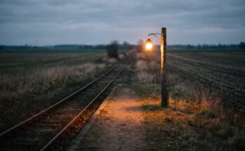 Ein einzelner Haltepunkt am Feldrand in der Dämmerung, am Bahnsteigende steht ein verwitterter Pfosten