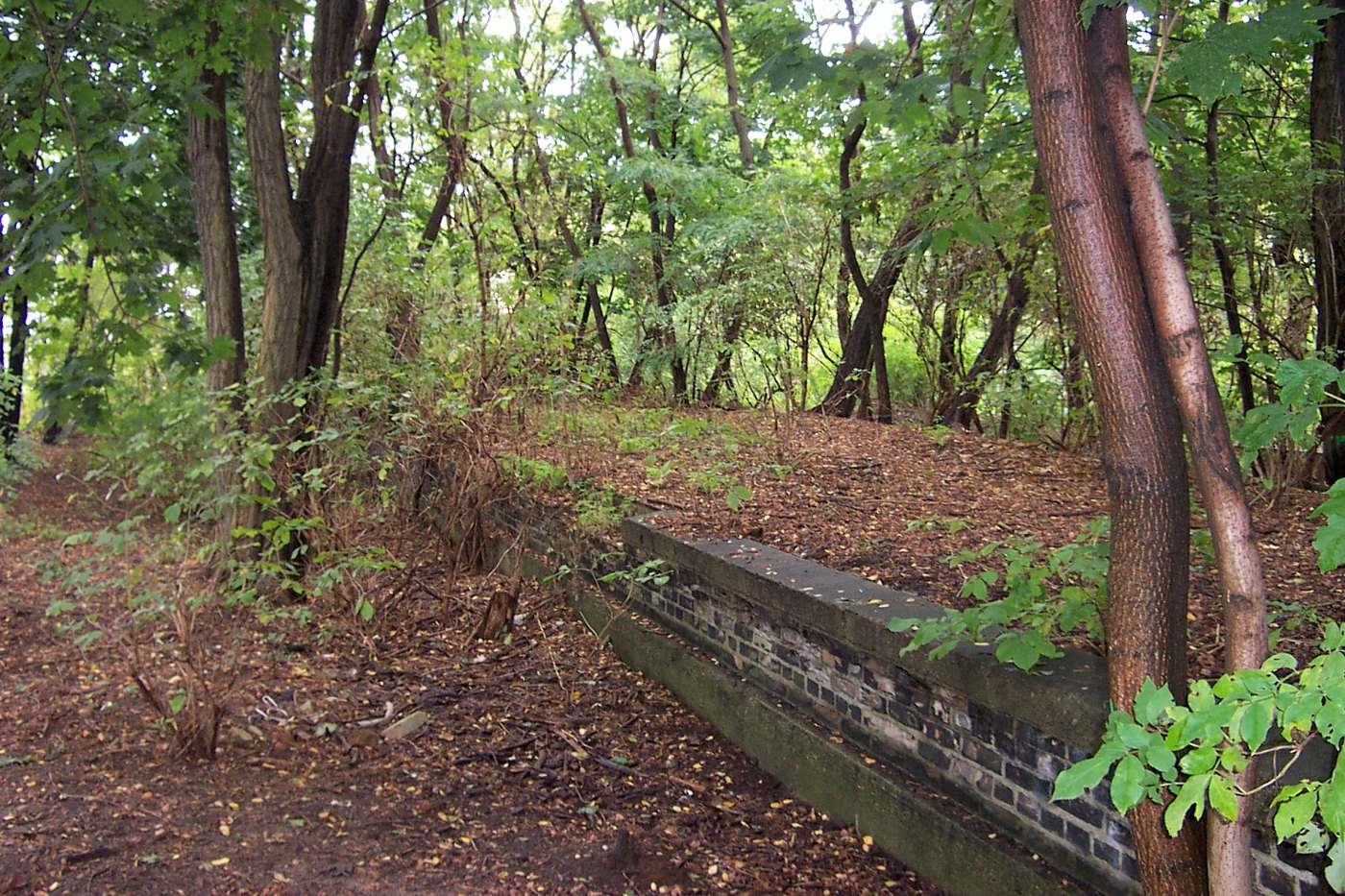 Anhalter Bahnhof Platform Remains 2005