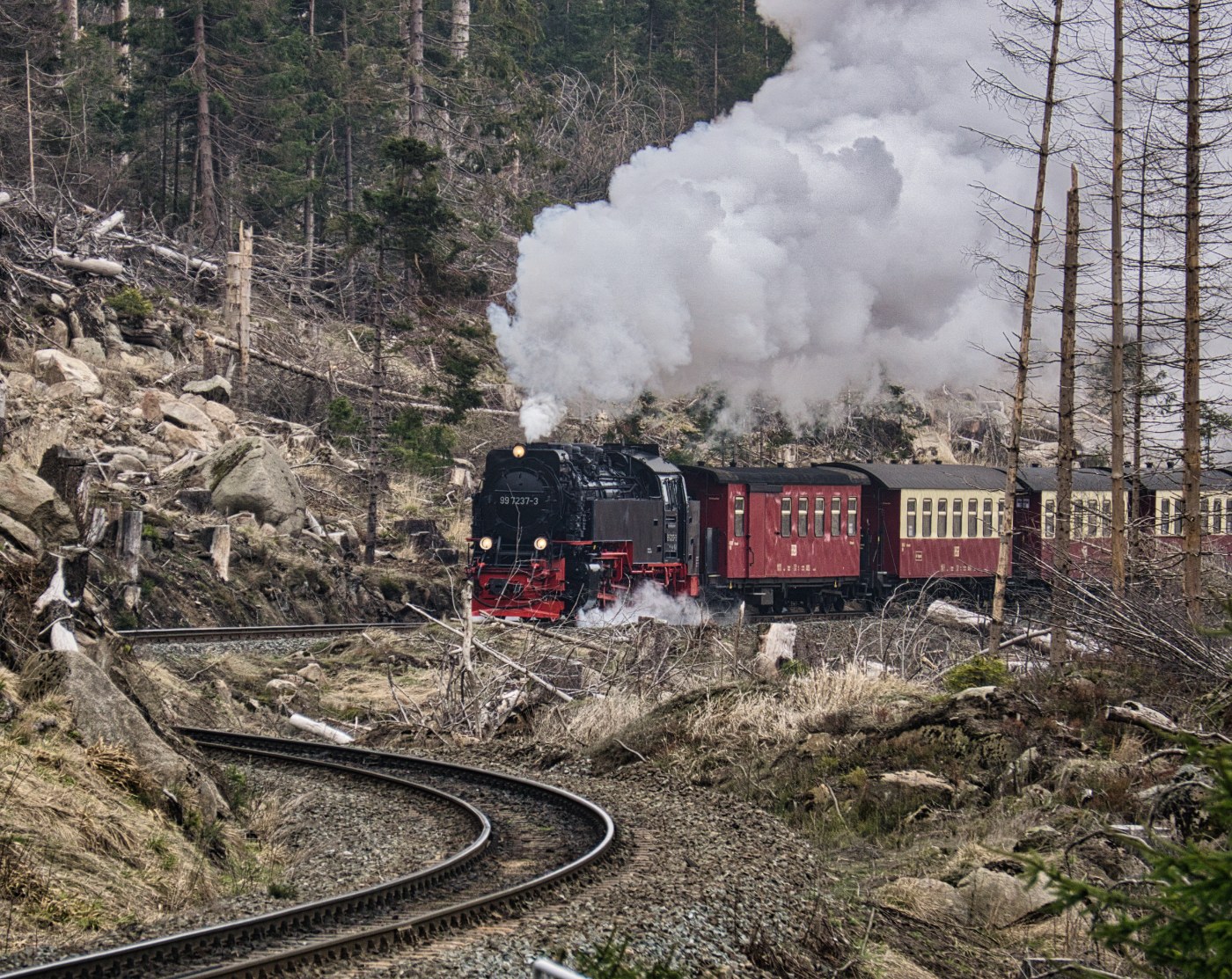 Dampfzug der Brockenbahn