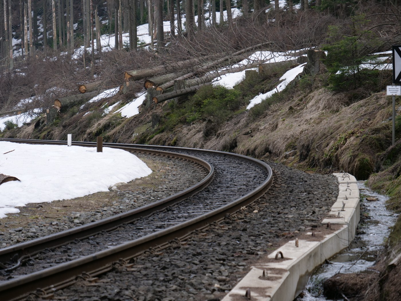 Die Brockenbahn am Eckerloch