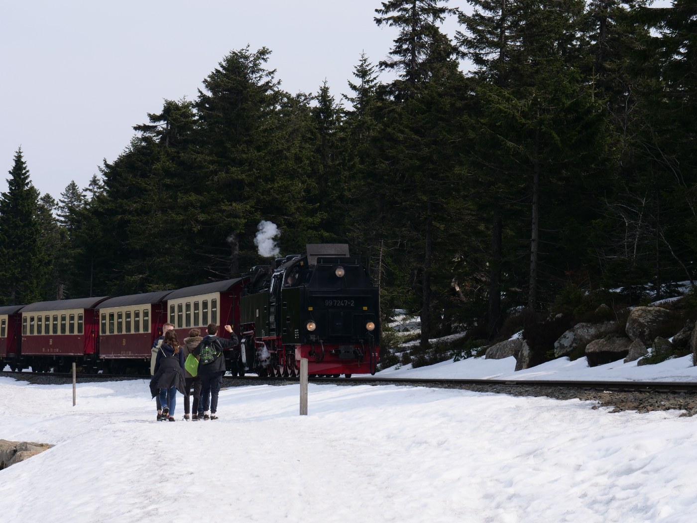 Dampfzug der Brockenbahn am Goetheweg