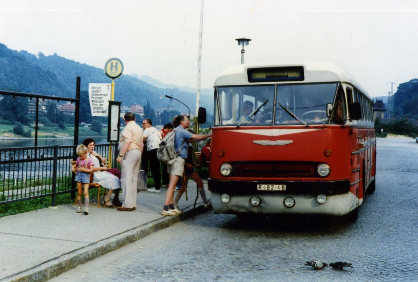 Ikarus 66 in Bad Schandau
