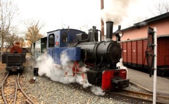 Deutsches Dampflokomotiv Museum Schmalspurdampflokomotive