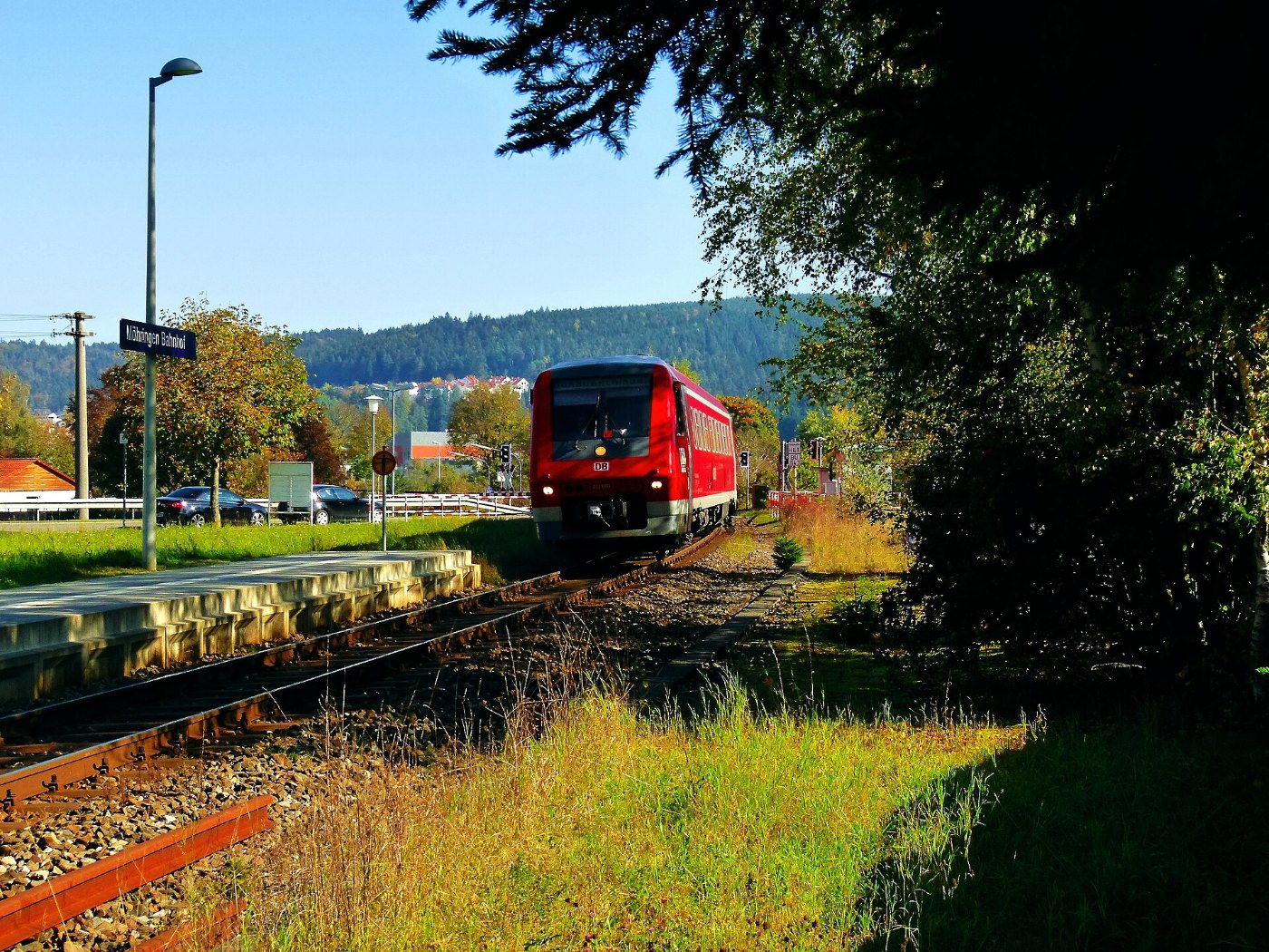 Train To Donaueschingen panoramio