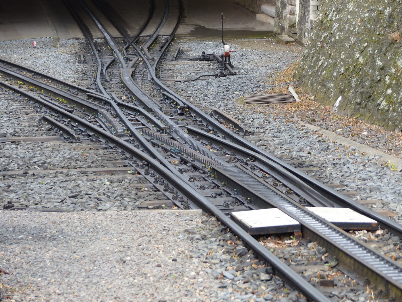 Ausfahrt am Talbahnhof der Drachenfelsbahn
