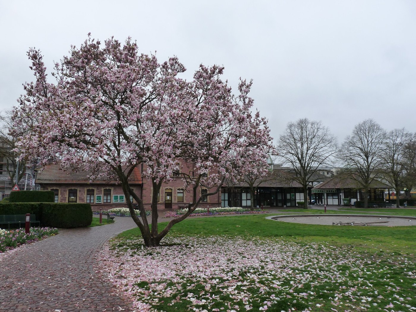 Ettlingen Stadt 2019 1