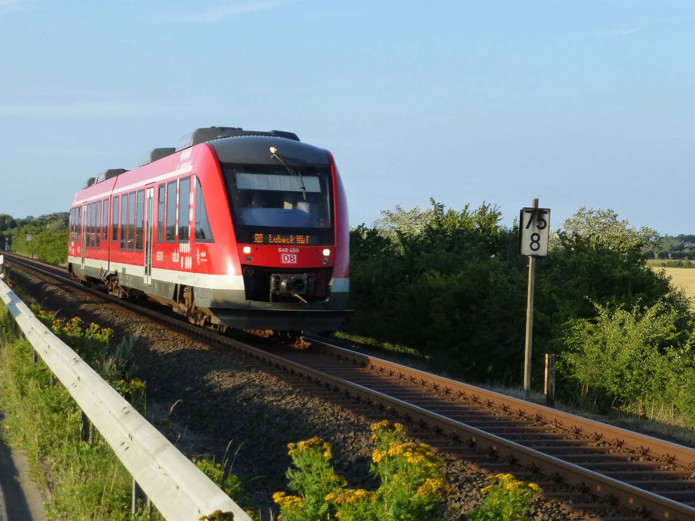 Die Fehmarnsundbrücke