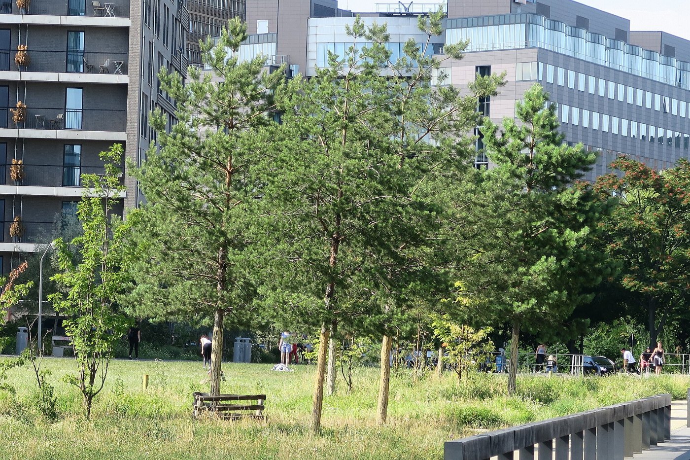 Park am Gleisdreieck Berlin 23