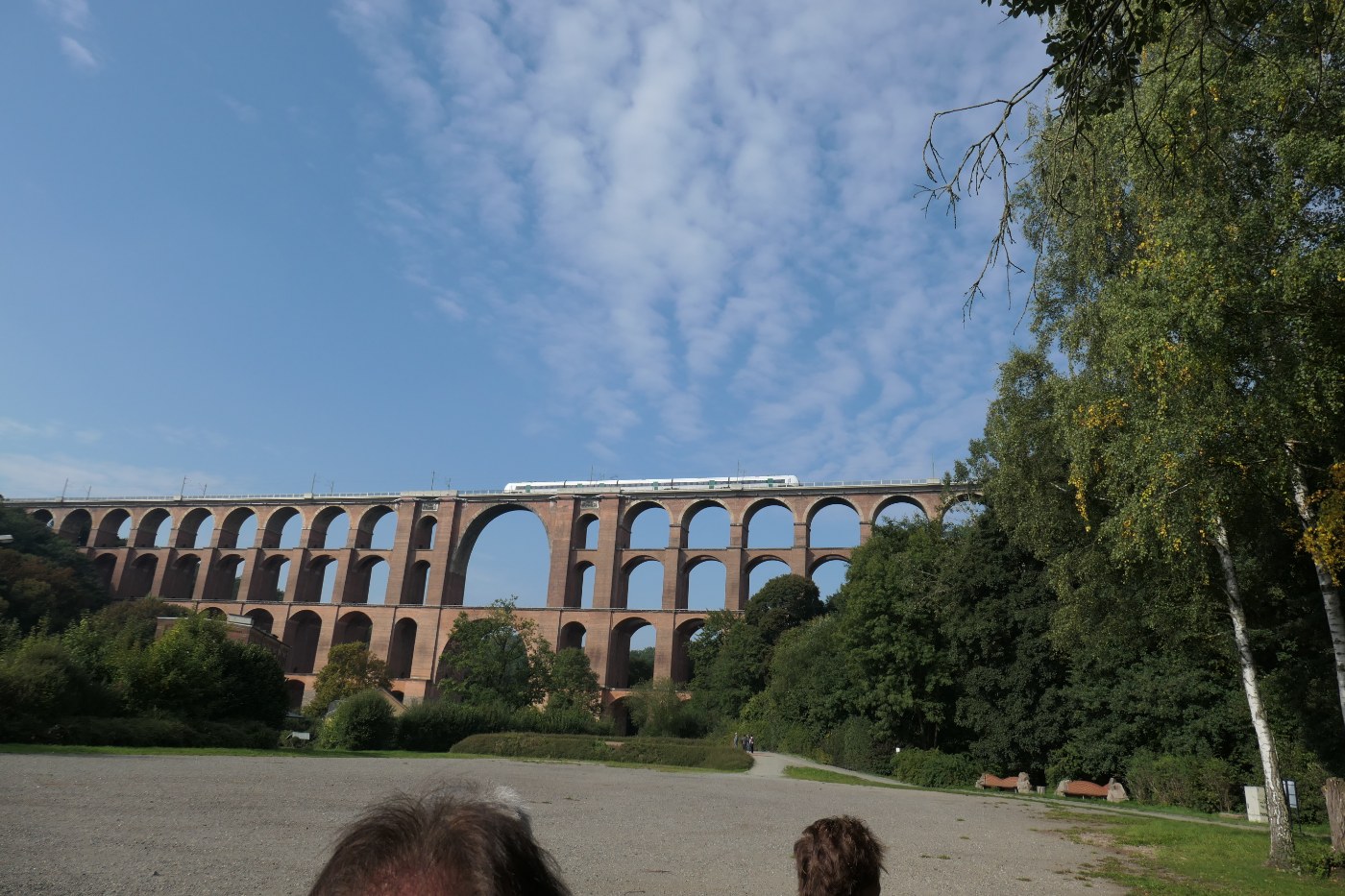 Ein Regionalexpress auf der Göltzschtalbrücke