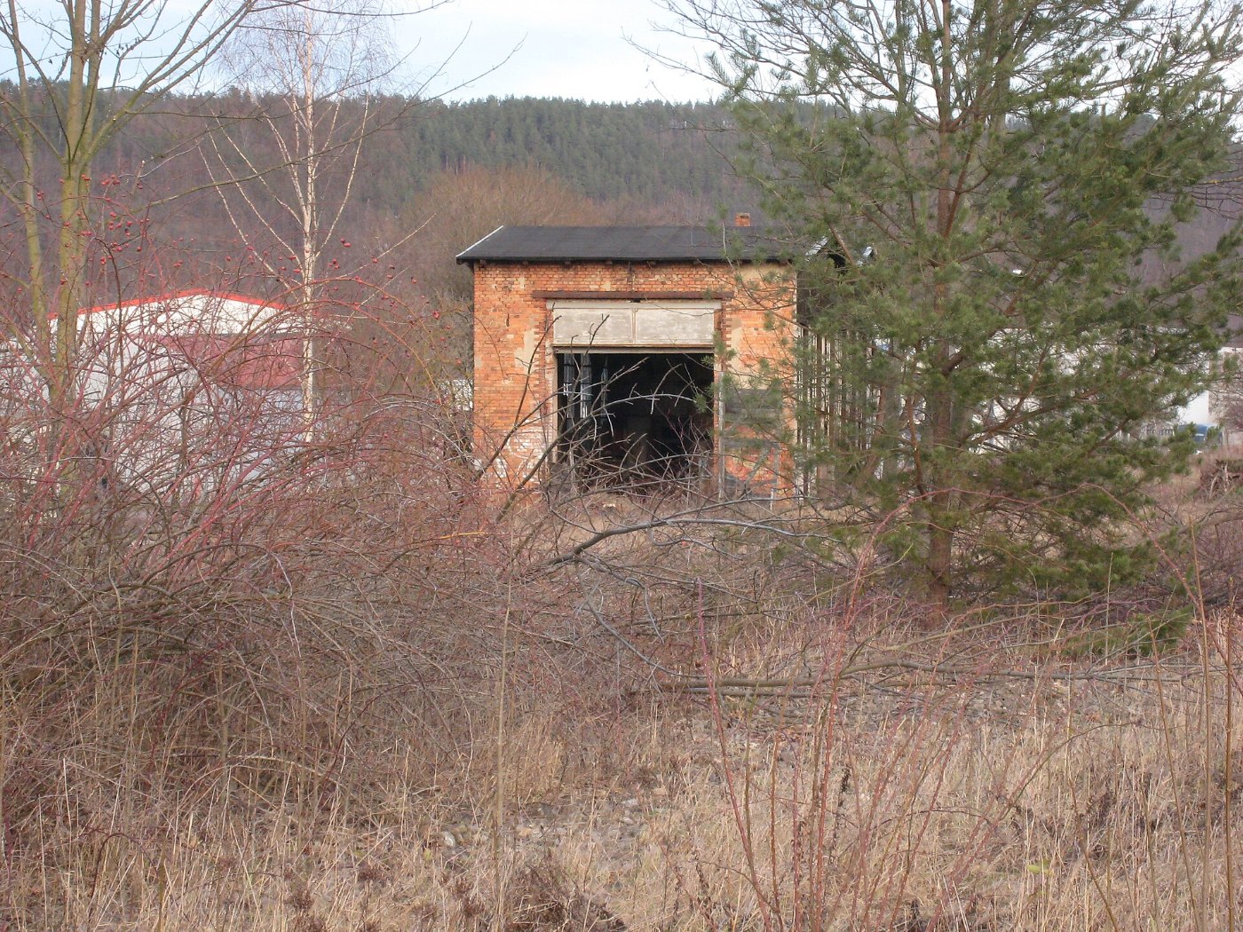 Bahnhof Bad Blankenburg 6