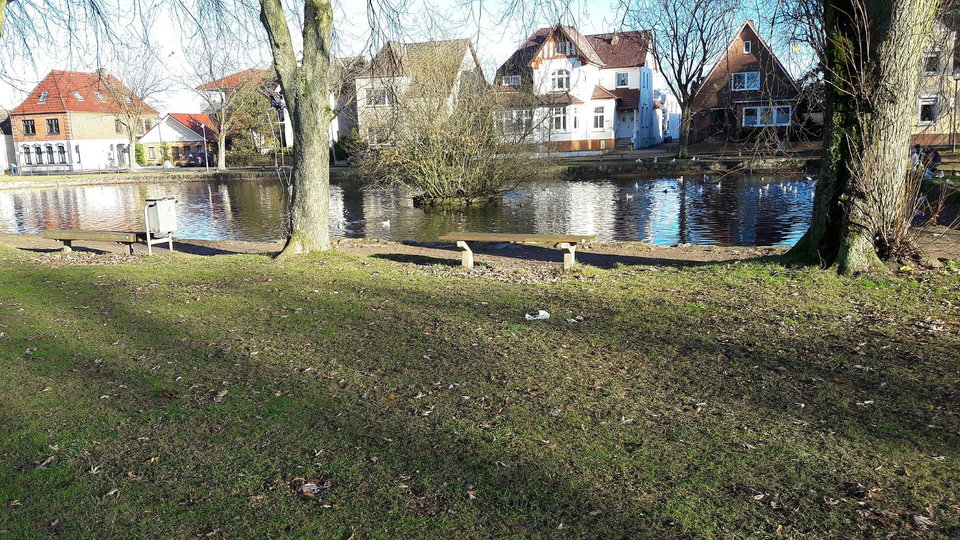 Heide (Holstein) 03