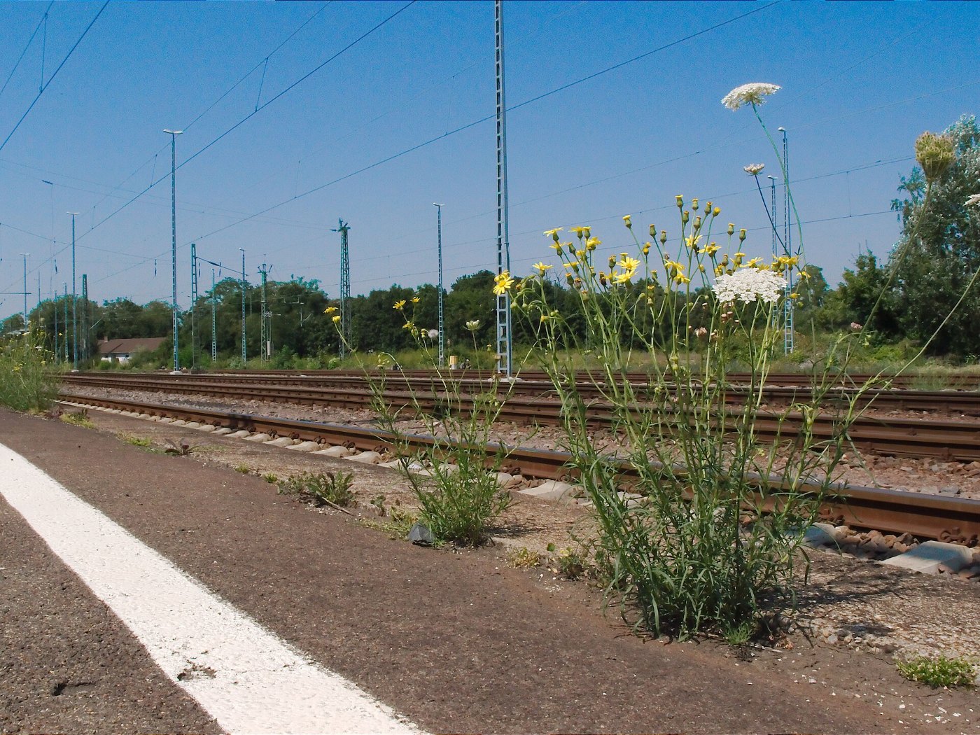 Heilbronn Bahnhof ()
