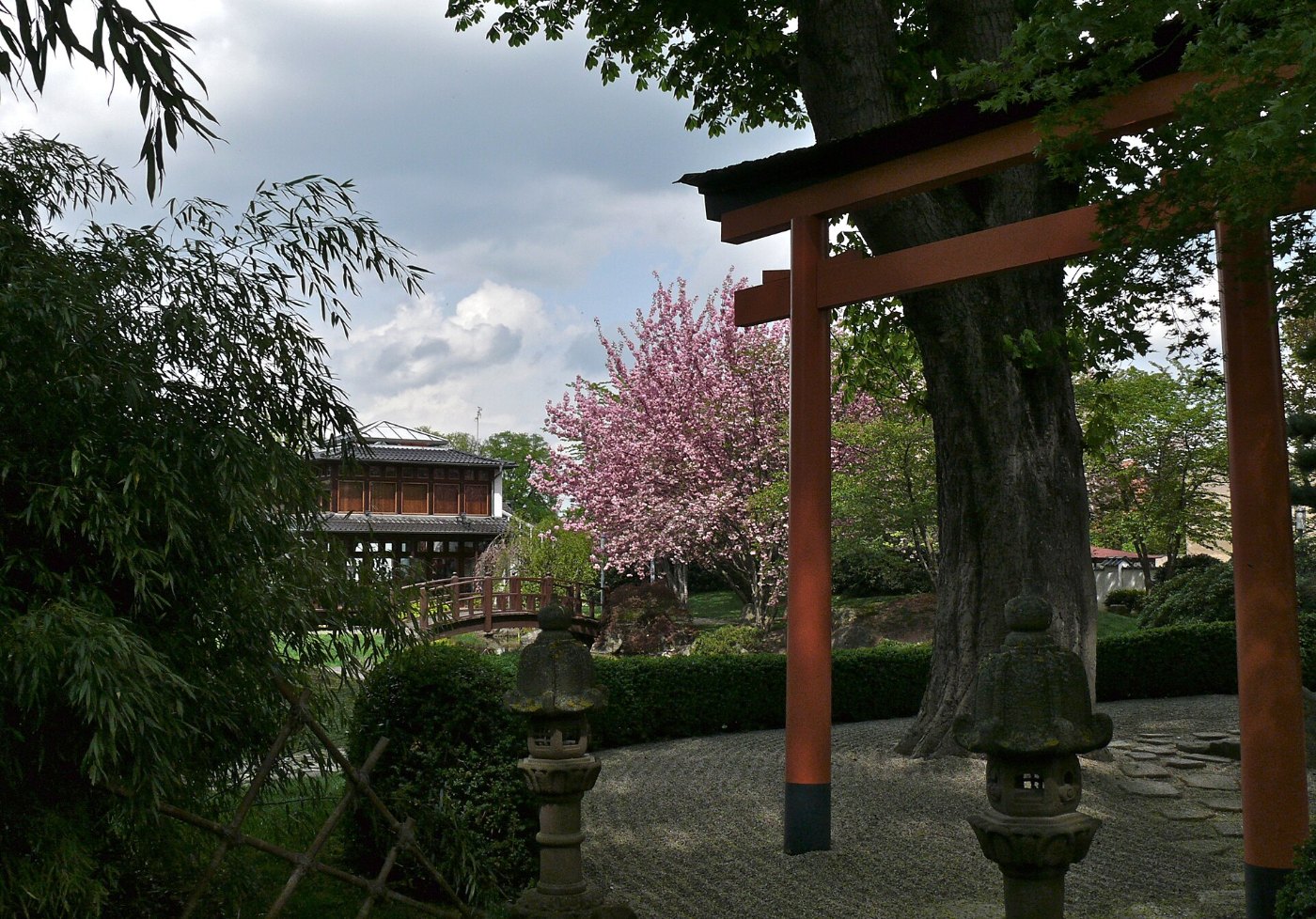 Bad Langensalza Japanischer Garten