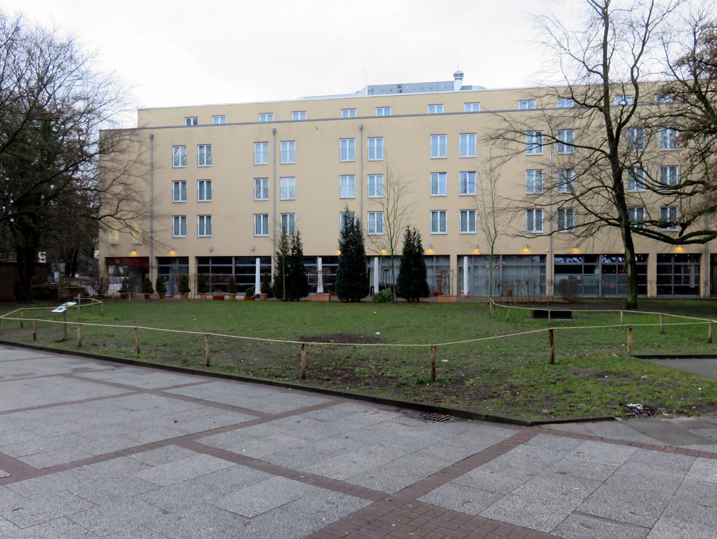 Wildblumenwiese Bahnhof Ohlsdorf (2)