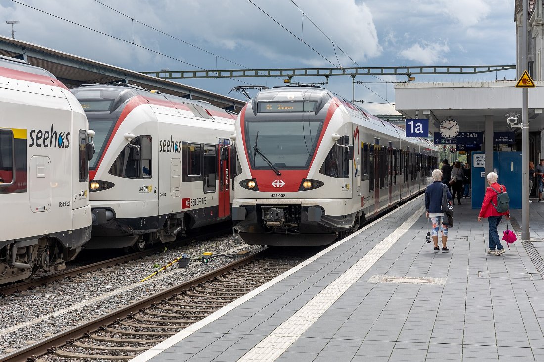 Bahnhof Konstanz mit Seehas Zügen (2022)