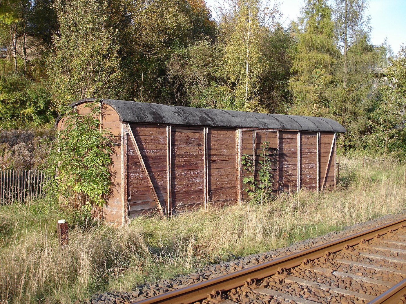Gueterwagen Klingenthal