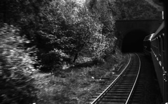 (V 200 auf der Schwarzwaldbahn vom Zug aus, wohl vor dem Niederwasser Tu
