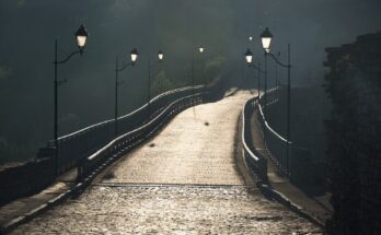68 104 0039 Kamianets Podilskyi Bridge RB 18