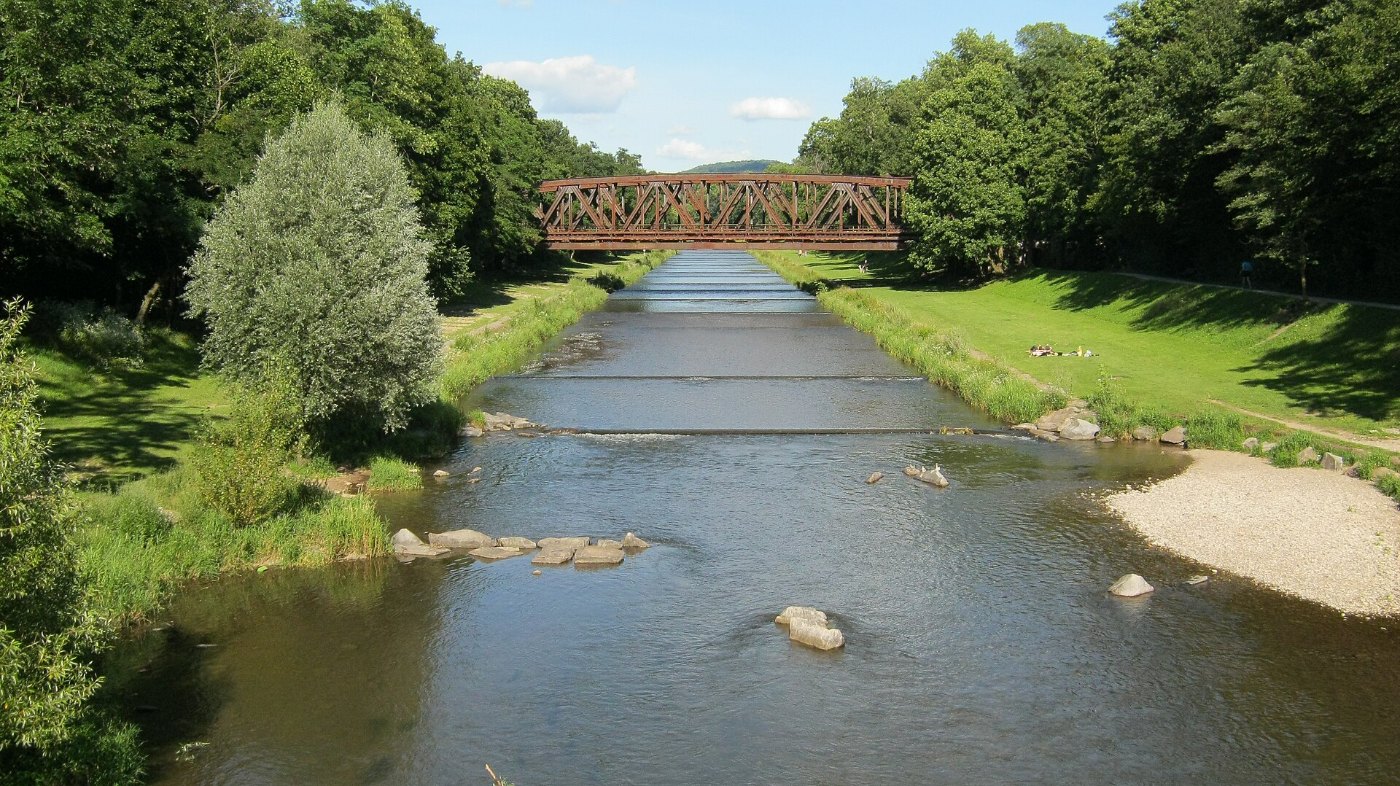 Fluß Wiese Eisenbahnbrücke Blick flussaufwärts Lange Erlen