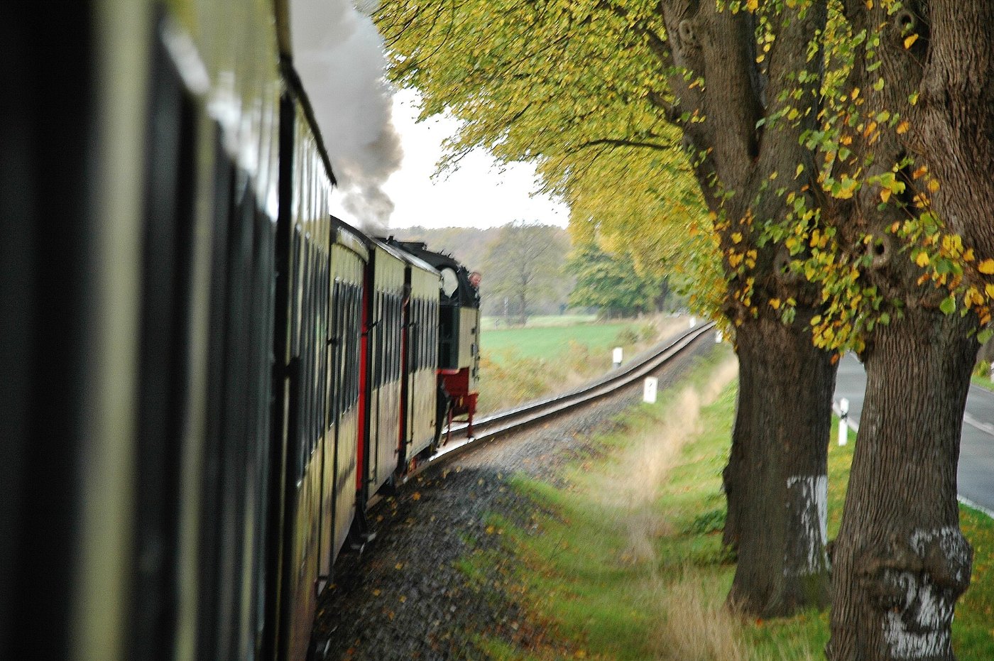 Nostalgische Dampfeisenbahn Molli zwischen Kühlungsborn und Bad Doberan 