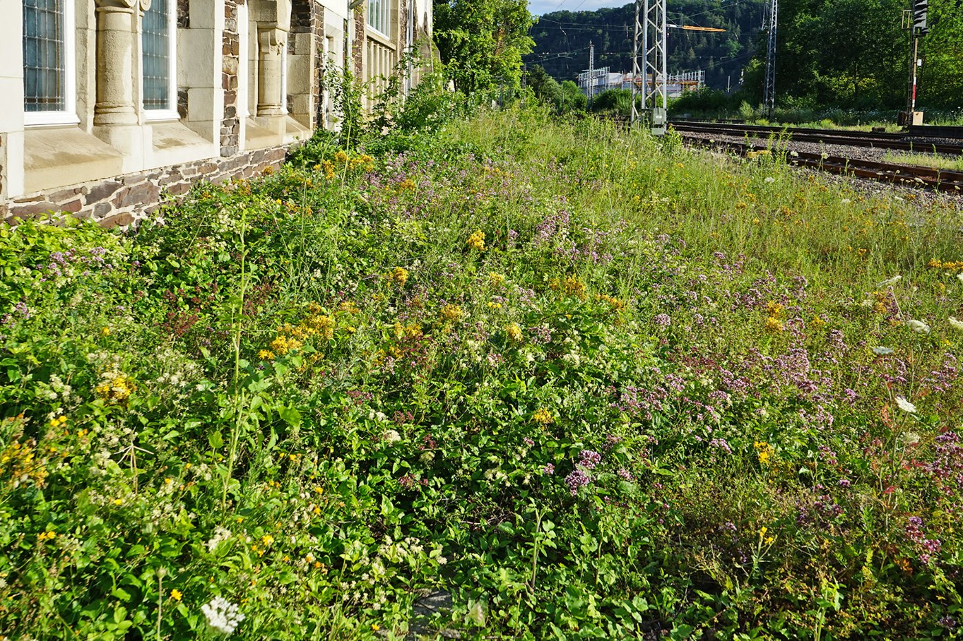 Bullay (Mosel) Bahnhof