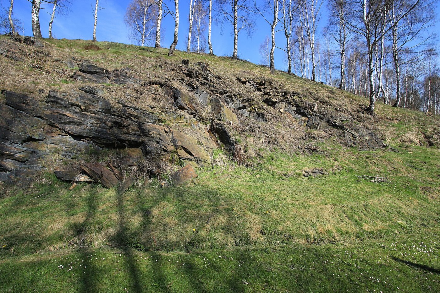 Felsen in Jöhstadt am Bahnhof in Sachsen...2H1A9632WI