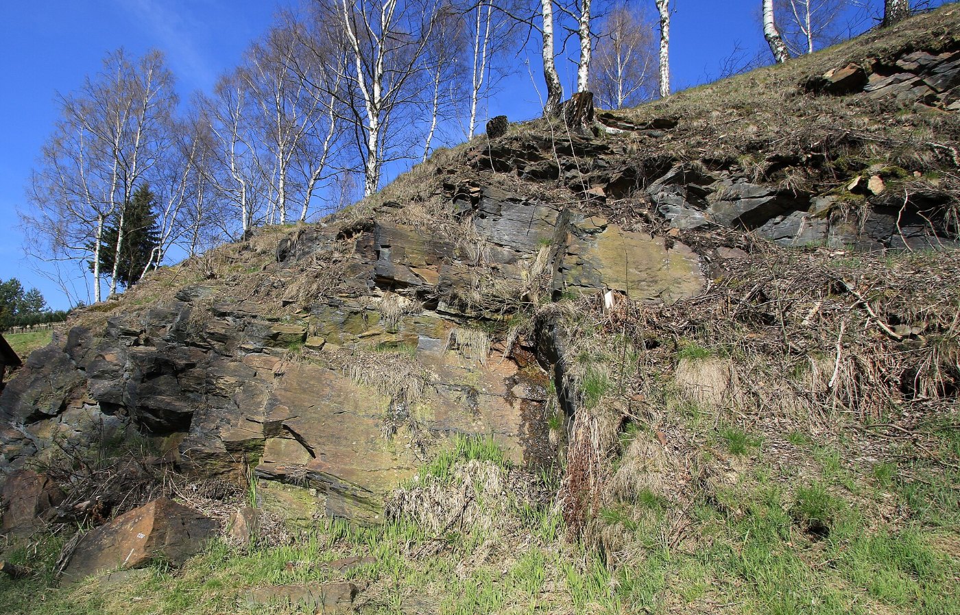 Felsen in Jöhstadt am Bahnhof in Sachsen...2H1A9627WI