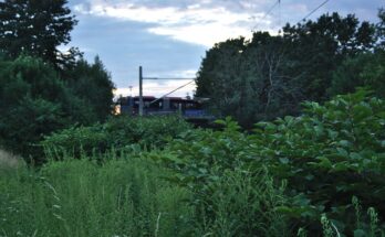 Bahnhof Wasserburg (Bodensee) (2026 07 07) 13