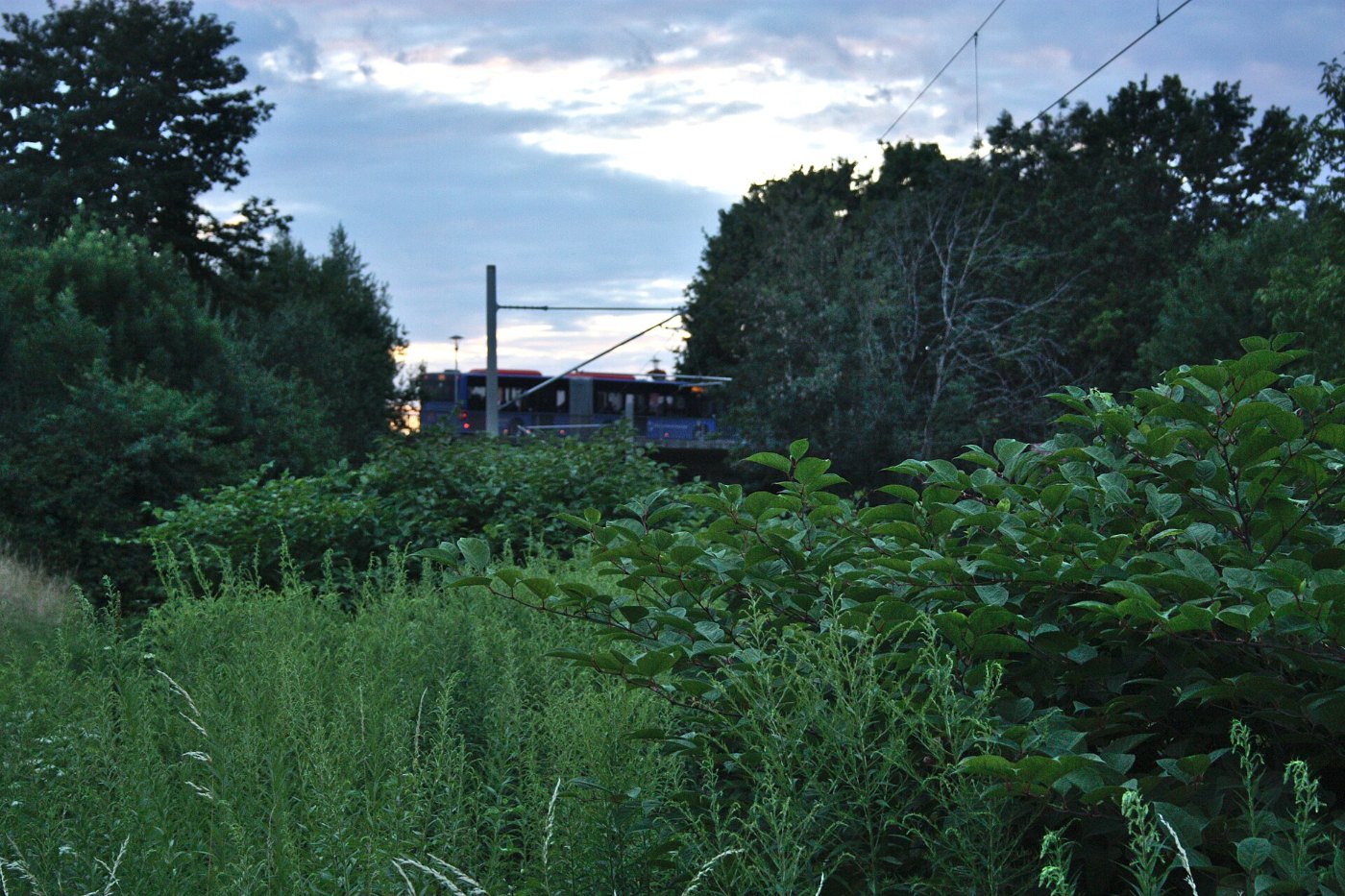 Bahnhof Wasserburg (Bodensee) (2026 07 07) 13