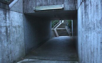 Bahnhof Wasserburg (Bodensee) (2026 07 07) 18