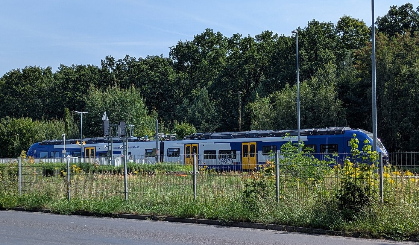 xl 1449 Siemens Mireo Plus B, Niederbarnimer Eisenbahn (67146)