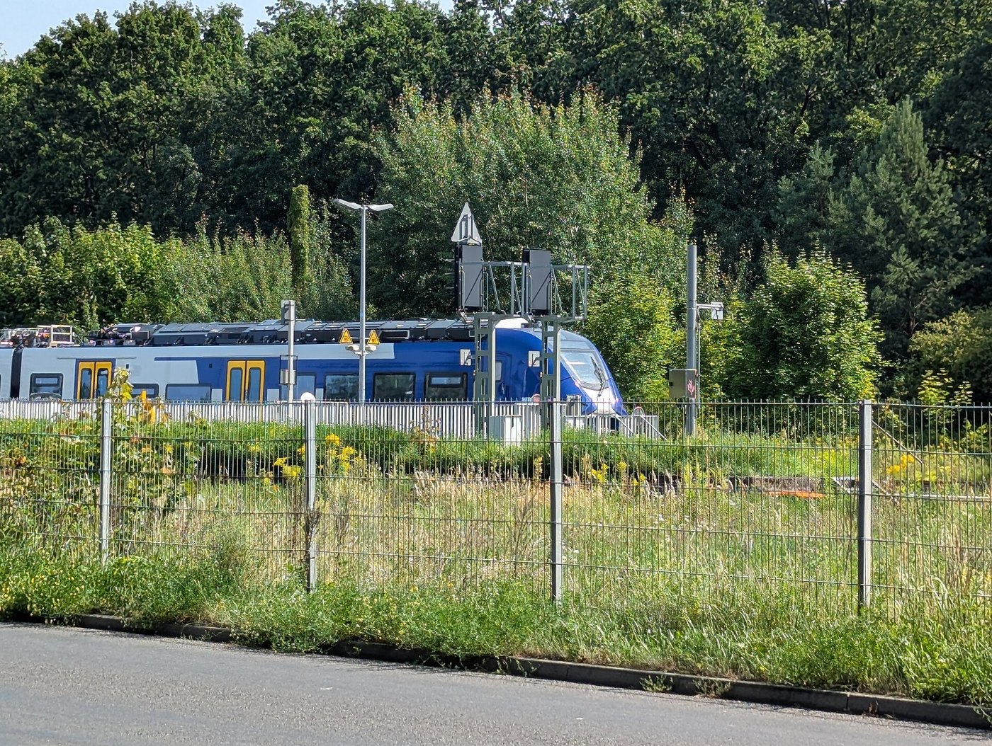 xl 1449 Siemens Mireo Plus B, Niederbarnimer Eisenbahn (53402)
