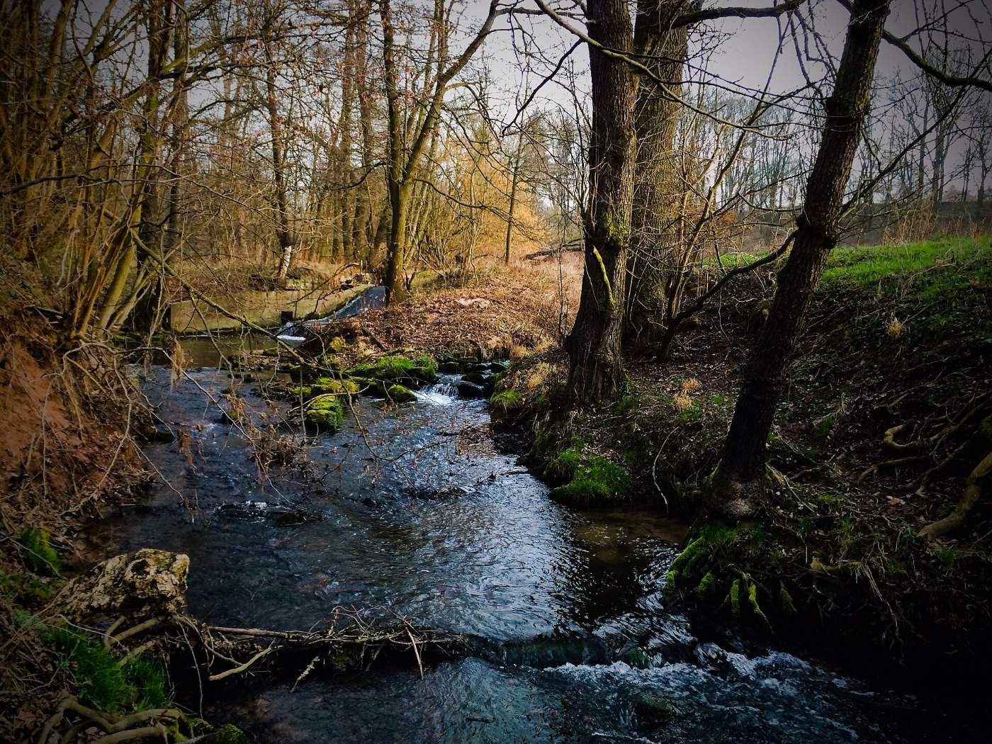 River Gleise near Nausnitz Thur. Germany 02 2014 01