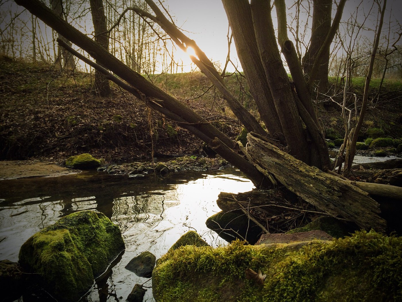 River Gleise near Nausnitz Thur. Germany 02 2014 02