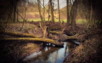 River Gleise near Nausnitz Thur. Germany 02 2014 05