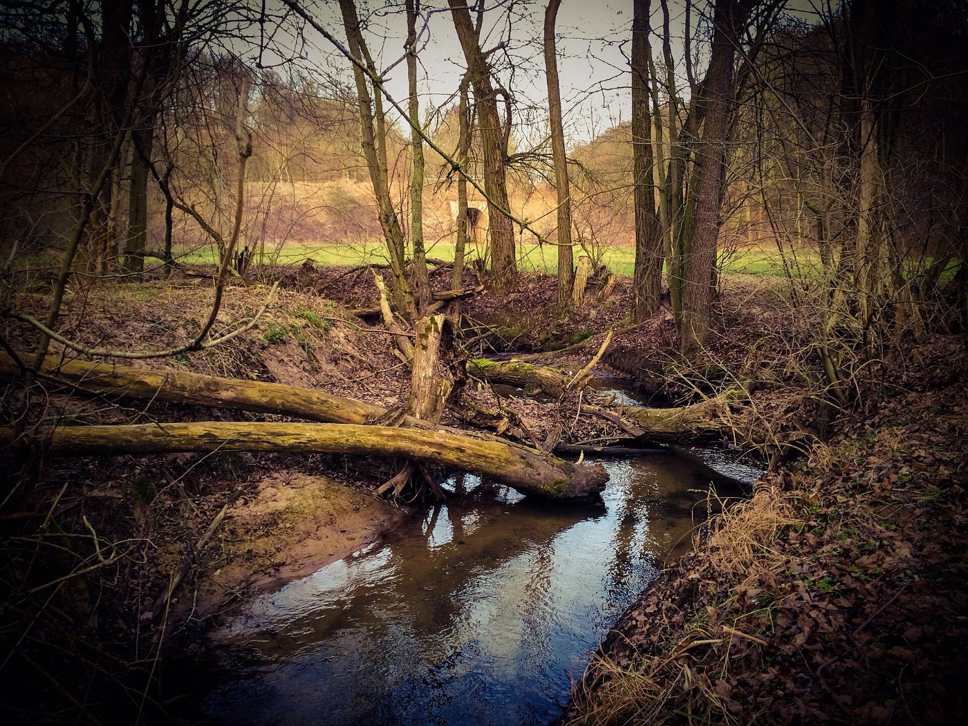 River Gleise near Nausnitz Thur. Germany 02 2014 05