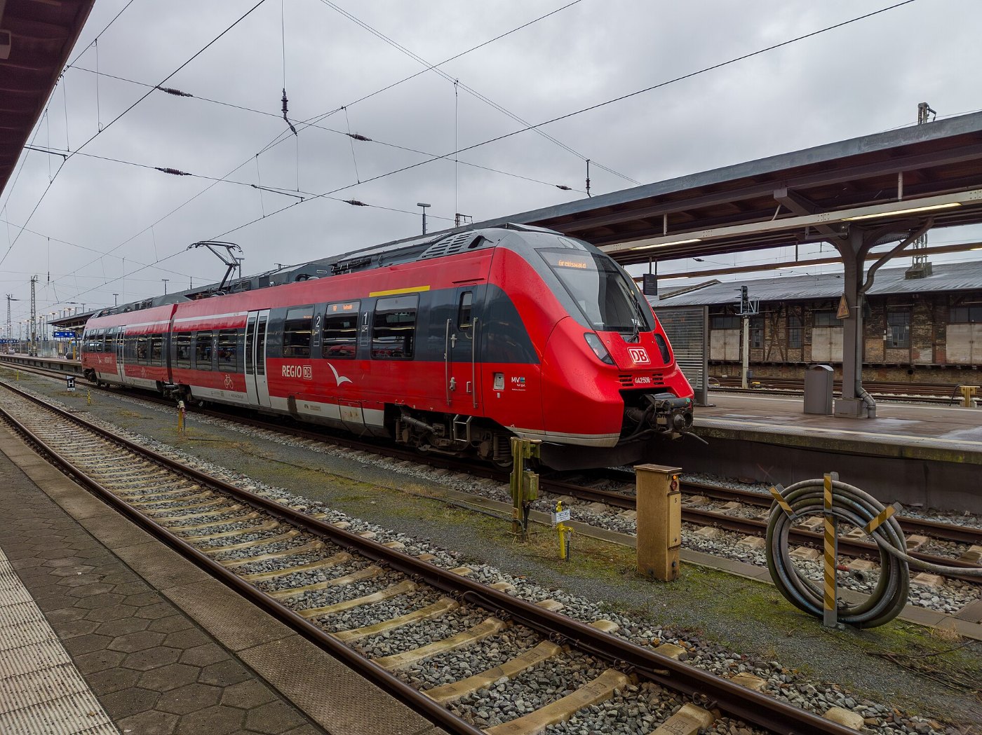 Talent, Stralsund (LRM )